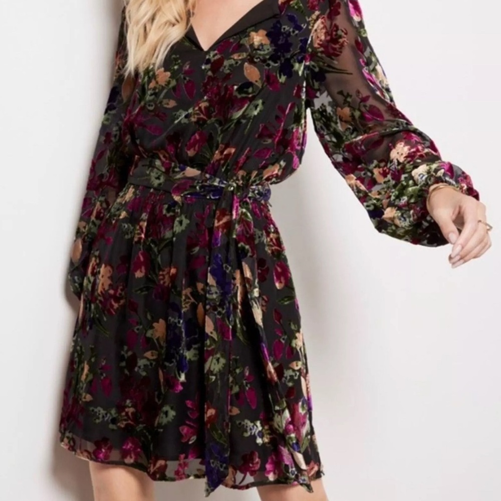 NWOT Evereve Ashlyn Burnout Dress Size M